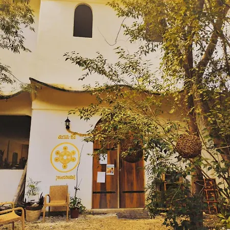 Ama-Gi Holistic Villa